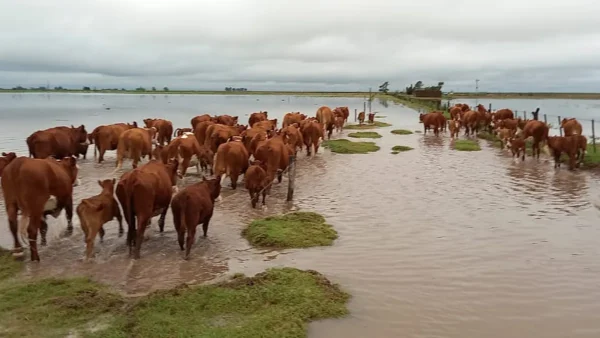 inundaciones-villegasjpg